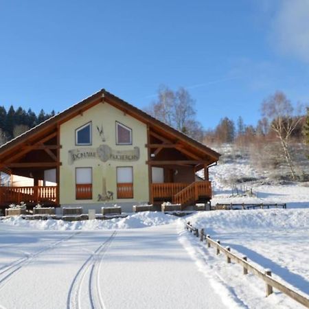 Le Chalet Du Bucheron Gerardmer Ngoại thất bức ảnh